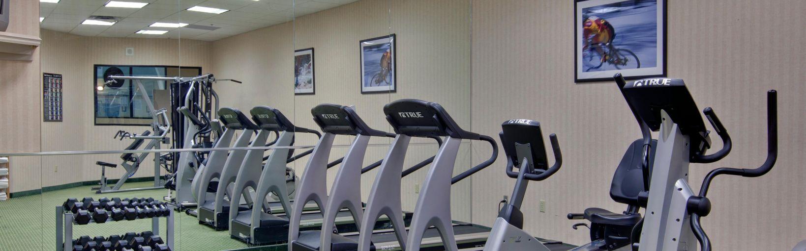 Holiday Inn Windsor - Ambassador Bridge By Ihg Extérieur photo